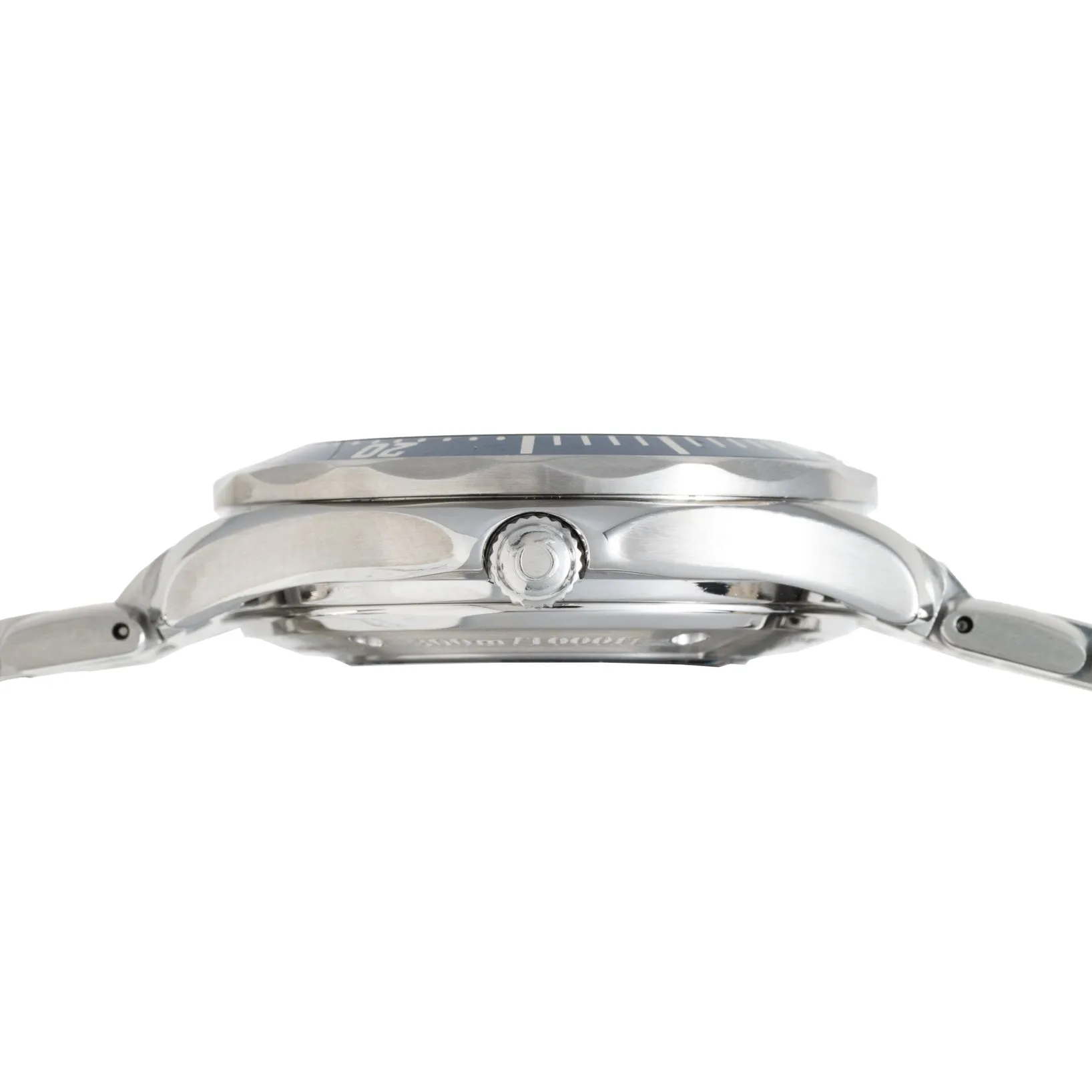 Seamaster 300 Professional GMT
